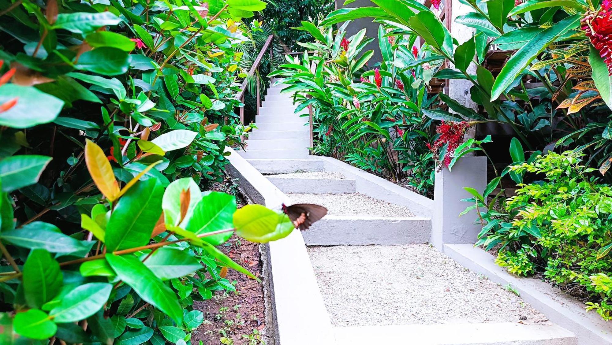 Hotel Isabella Tayrona Los Naranjos Exteriör bild